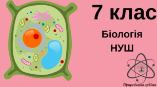 Будова клітини. 