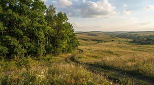 презентація "Лісостепова природна зона" 8кл НУШ (урок з Біблійною інтеграцією)