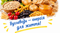 Інфографіка 📝Урок №5 Структура та біологічні функції вуглеводів. 9 кл НУШ Тагліна