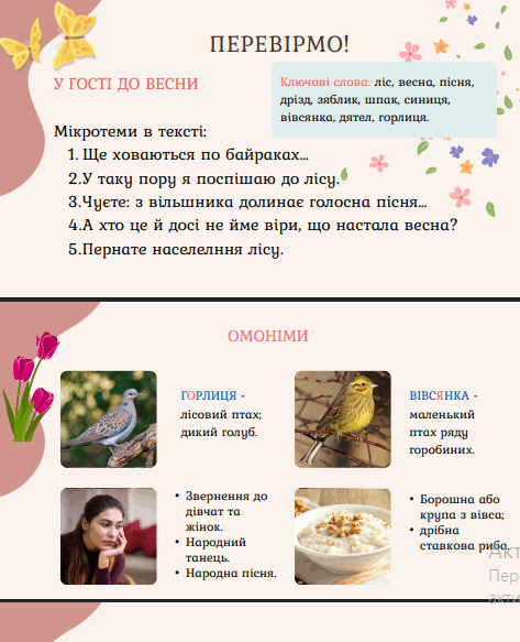 11008azv-787c-473x583.png