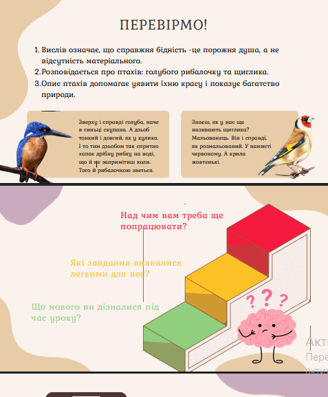11008b26-c9a9-477x577.png