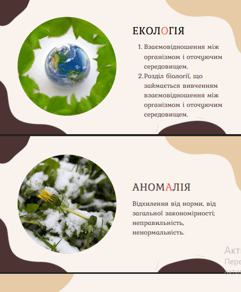 11008b2w-880d-477x579.png
