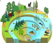 11008b8w-a0f9-188x154.png