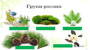 11008b92-039f-178x100.jpg