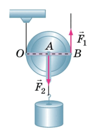 11008bjf-1315-189x266.png