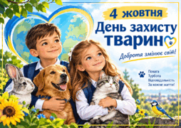 11008d8j-a8e2-254x180.png