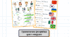 Граматична розробка для 1 модулю Where are you from? Smart Junior 4 for Ukraine