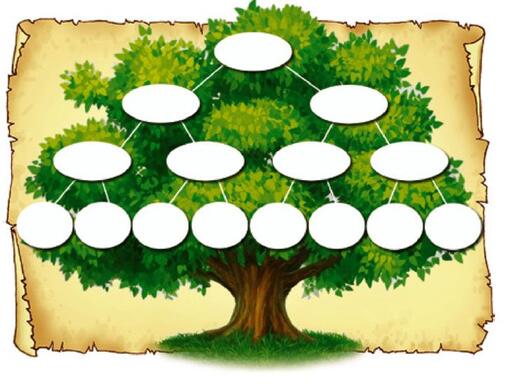 Створення родинного дерева: шаблони та зразки | Family tree ...