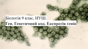 Ген. Генетичний код. Експресія генів біологія 9 клас НУШ