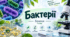 Бактерії Біологія 7 клас Соболь