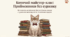 🐱📚 Уживання прийменників. Українська мова ✨