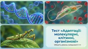 Тест на тему «Адаптації: молекулярні, клітинні, організмові»