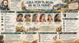 Інфографіка за романом "Хіба ревуть воли як ясла повні" Панаса Мирного