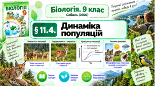 § 11.4. Динаміка популяцій. Презентація, інфографіка, робочий аркуш
