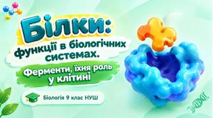 Презентація до теми: "Білки: функції в біологічних системах. Ферменти, їхня роль у клітині". Біологія 9 клас НУШ