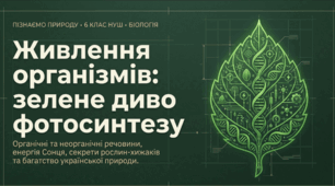 Живлення організмів