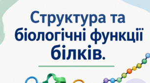 Структура та біологічні функції білків. 9 кл НУШ