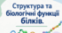 Структура та біологічні функції білків. 9 кл НУШ