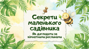 Як доглядати за кімнатними рослинами
