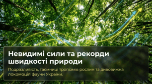 Подразливість та рухи живих рослин