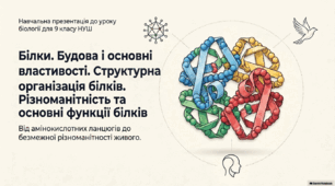 Презентація, конспект уроку та робочий аркуш на тему "Білки. Будова і основні властивості. Структурна організація білків. Різноманітність та основні функції білків". 9 клас НУШ. Соболь В.І.
