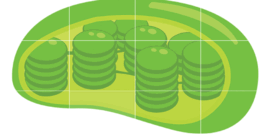 11008tsk-d29f-260x138.png