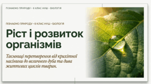 Ріст і розвиток організмів