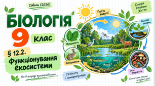 § 12.2. Функціонування екосистеми. Презентація, інфографіка, робочий аркуш