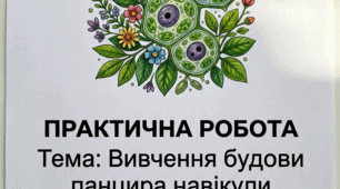 Практична робота "Вивчення будови панцира Навікули"