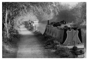 11008x7n-d5d7-298x202.png