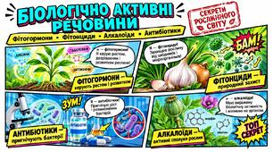 Презентація "Біологічно активні речовини: фітогормони, фітонциди, алкалоїди, антибіотики" 9 клас НУШ