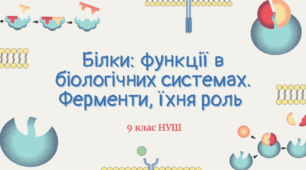 Білки: функції в біологічних системах. Ферменти, їхня роль 9 клас НУШ