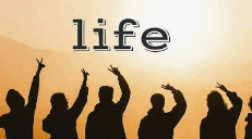 School life (Full blust)