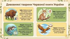 1100977e-be99-238x134.jpg