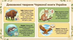1100977e-be99-246x138.jpg