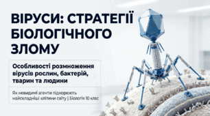 10. Особливості розмноження вірусів рослин, бактерій, тварин та людини
