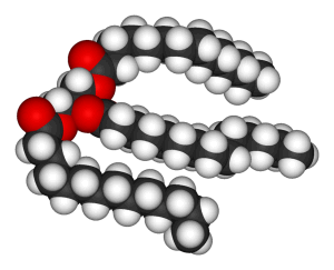 11009lf8-ba2a-300x243.png