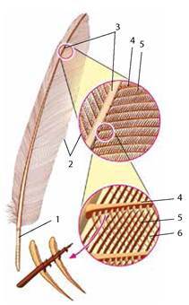 11009mvg-e6d4-211x340.jpg