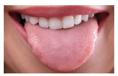 11009nek-3001-407x265.png