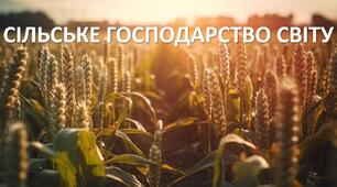 Презентація до уроку: "СІЛЬСЬКЕ ГОСПОДАРСТВО СВІТУ"