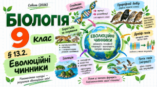 § 13.2. Еволюційні чинники. Презентація, інфографіка, робочий аркуш