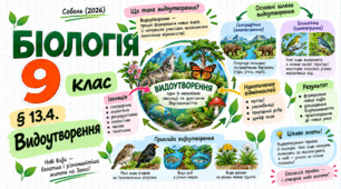 § 13.4. Видоутворення. Презентація, інфографіка, робочий аркуш