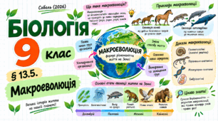 § 13.5. Макроеволюція. Презентація, інфографіка, робочий аркуш
