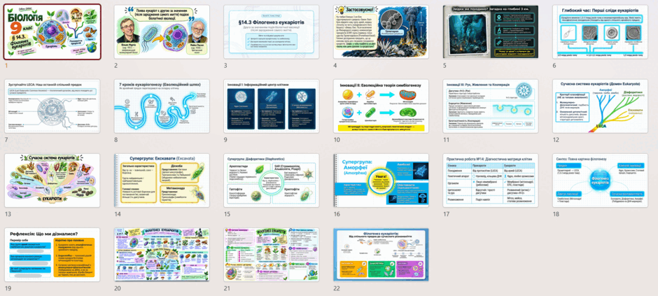 11009scw-22c7-940x423.png