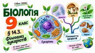 § 14.3. Філогенез еукаріотів. Презентація, інфографіка, робочий аркуш