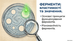 Презентація та конспект уроку на тему "Ферменти. Властивості та значення. Основні принципи функціонування ферментів. Різноманітність ферментів". 9 клас НУШ. Соболь В.І.