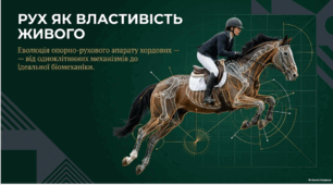 РУХ ЯК ВЛАСТИВІСТЬ ЖИВОГО. ЕВОЛЮЦІЯ ОПОРНО-РУХОВОГО АПАРАТУ ХОРДОВИХ. Тагліна