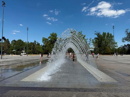 11009vm8-9809-443x332.jpg