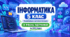 Інформатика. 5 клас. Модифікована навчальна програма. ІI рівень підтримки. За МНП Морзе