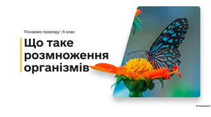 6 клас. Презентація "Що таке розмноження організмів" НУШ
